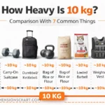 10-kg-comparison-with-common-things