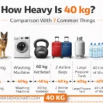 40-kg-comparison-with-common-things