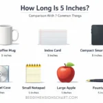 5-inches-comparison-with-things