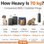70-kg-comparison-with-common-things