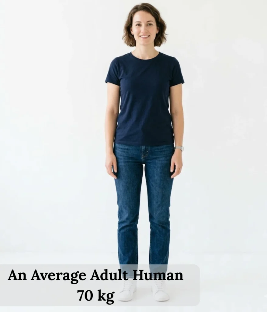 an-average-adult-human-70-kg