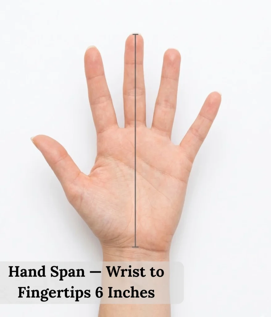hand-span-—-wrist-to-fingertips-6-inches