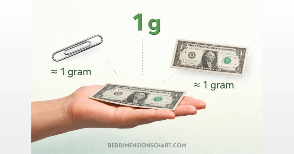 how-heavy-is-1-gram