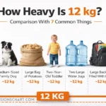 how-heavy-is-12-kg-comparison-with-common-things