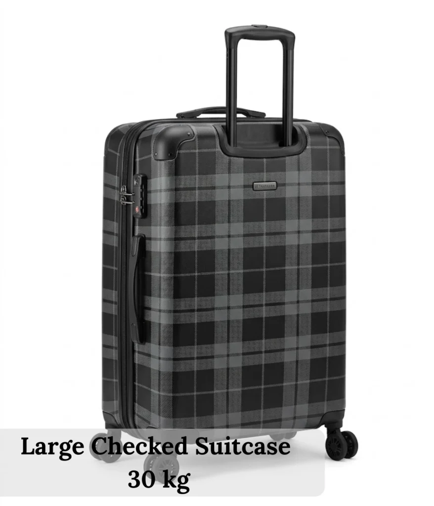 large-checked-suitcase-30-kg
