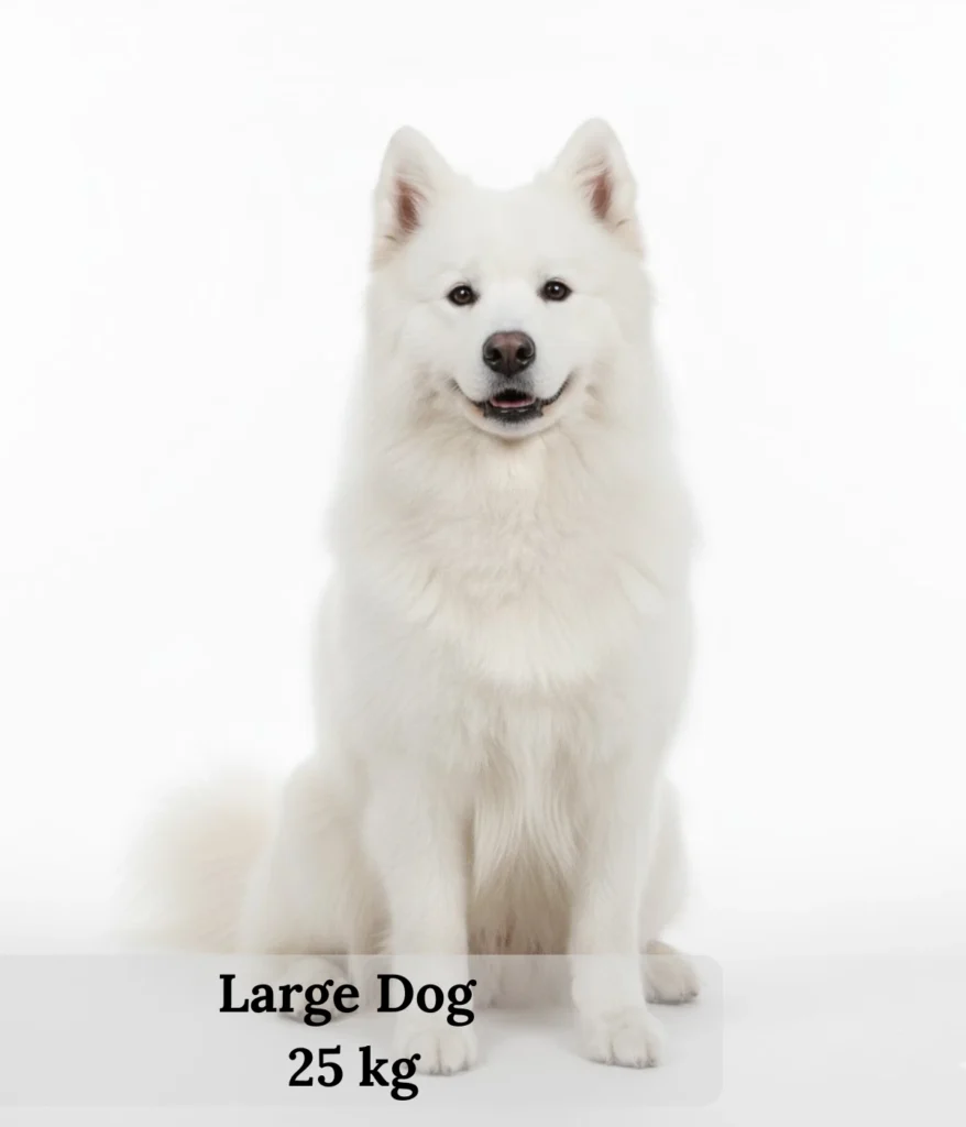 large-dog-25-kg