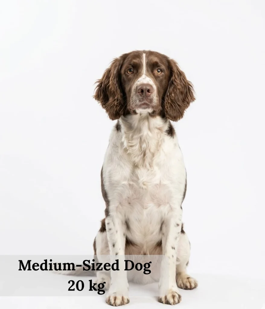 medium-sized-dog-20-kg