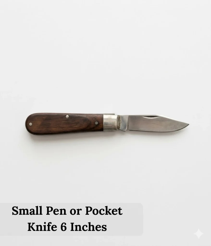 small-pen-or-pocket-knife-6-inches