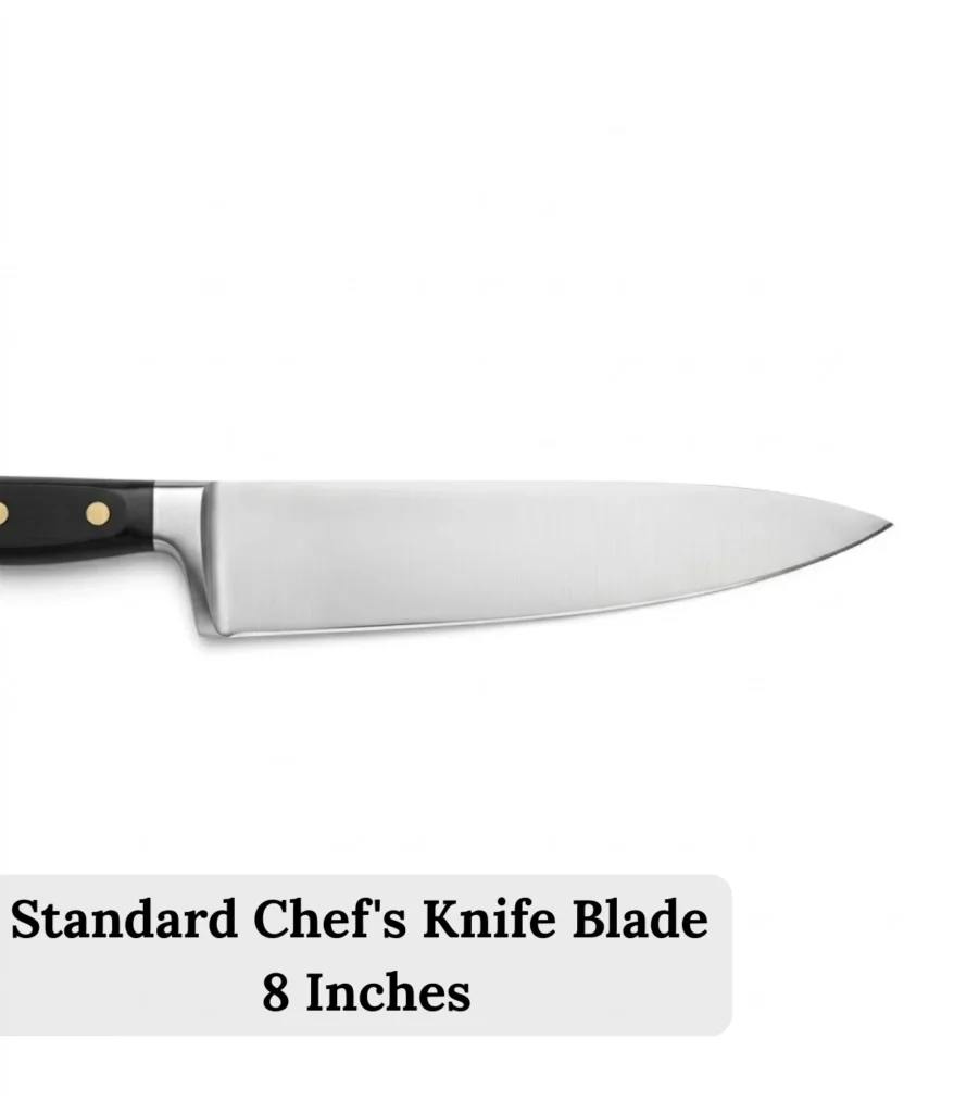 standard-chefs-knife-blade-8-inches