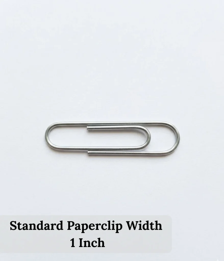 standard-paperclip-width-1-inch