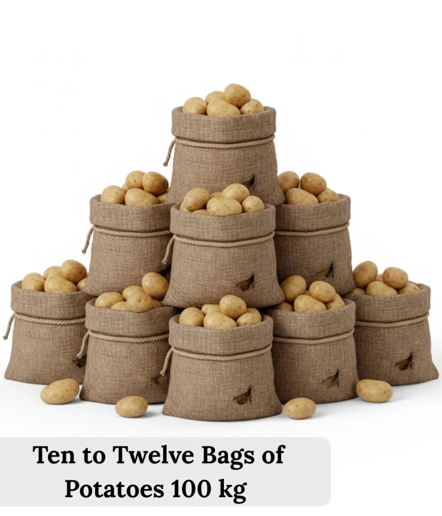 ten-to-twelve-bags-of-potatoes-100-kg