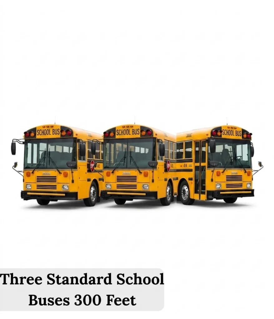 three-standard-school-buses-300-feet