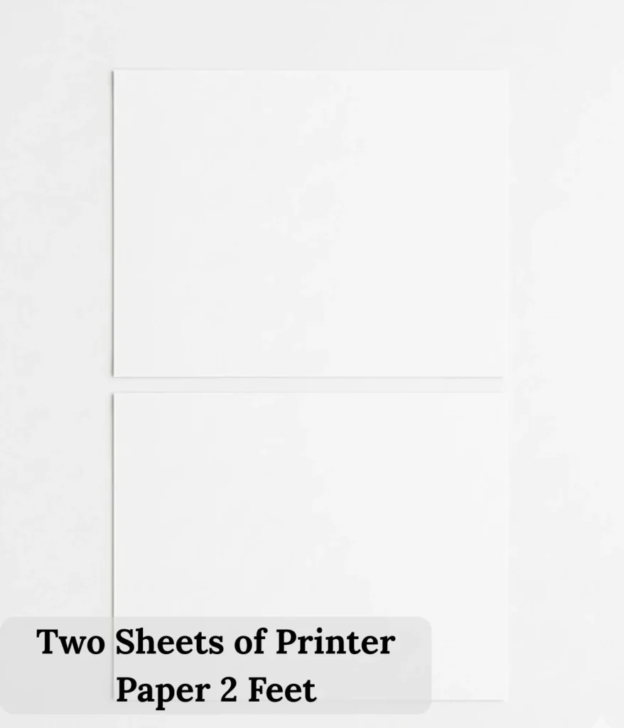 two-sheets-of-printer-paper-2-feet
