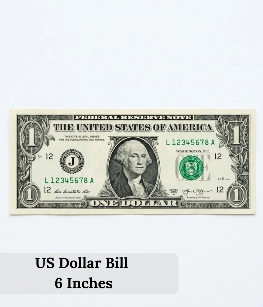 us-dollar-bill-6-inches