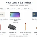 3.5-inches-comparison-with-common-things