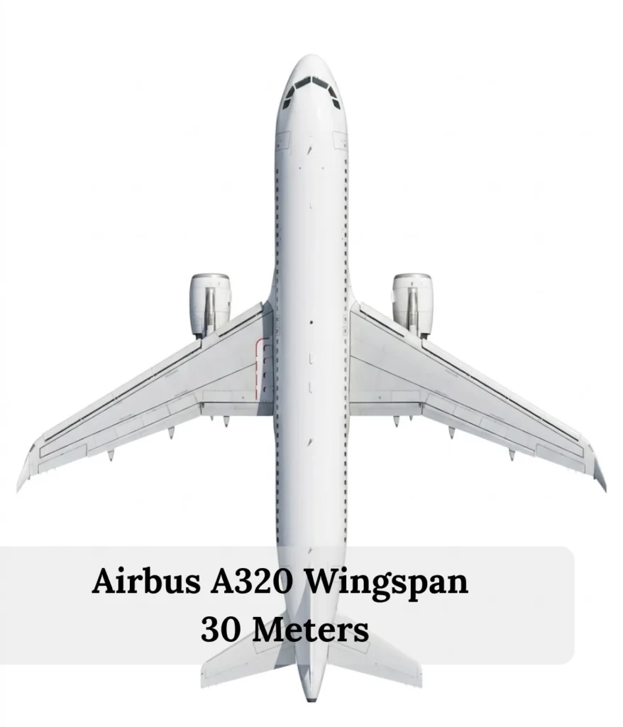 airbus-a320-wingspan-30-meters