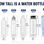 how-tall-is-a-water-bottle