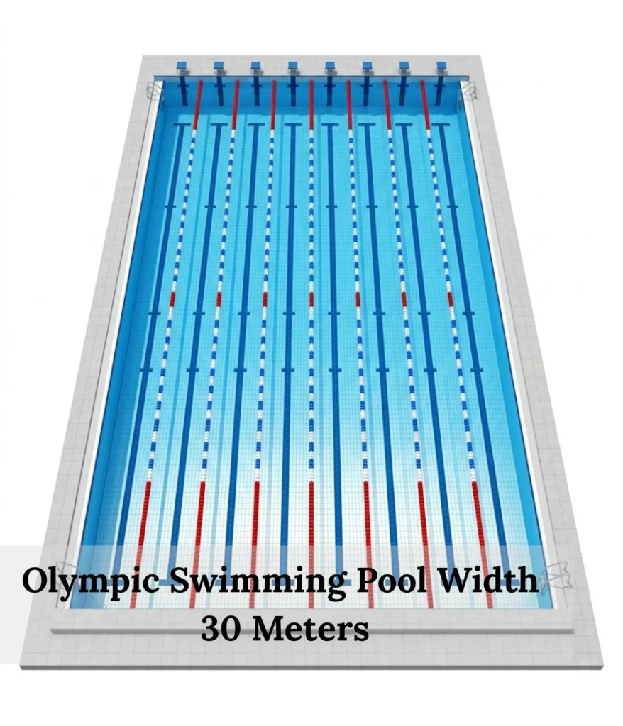 olympic-swimming-pool-width-30-meters