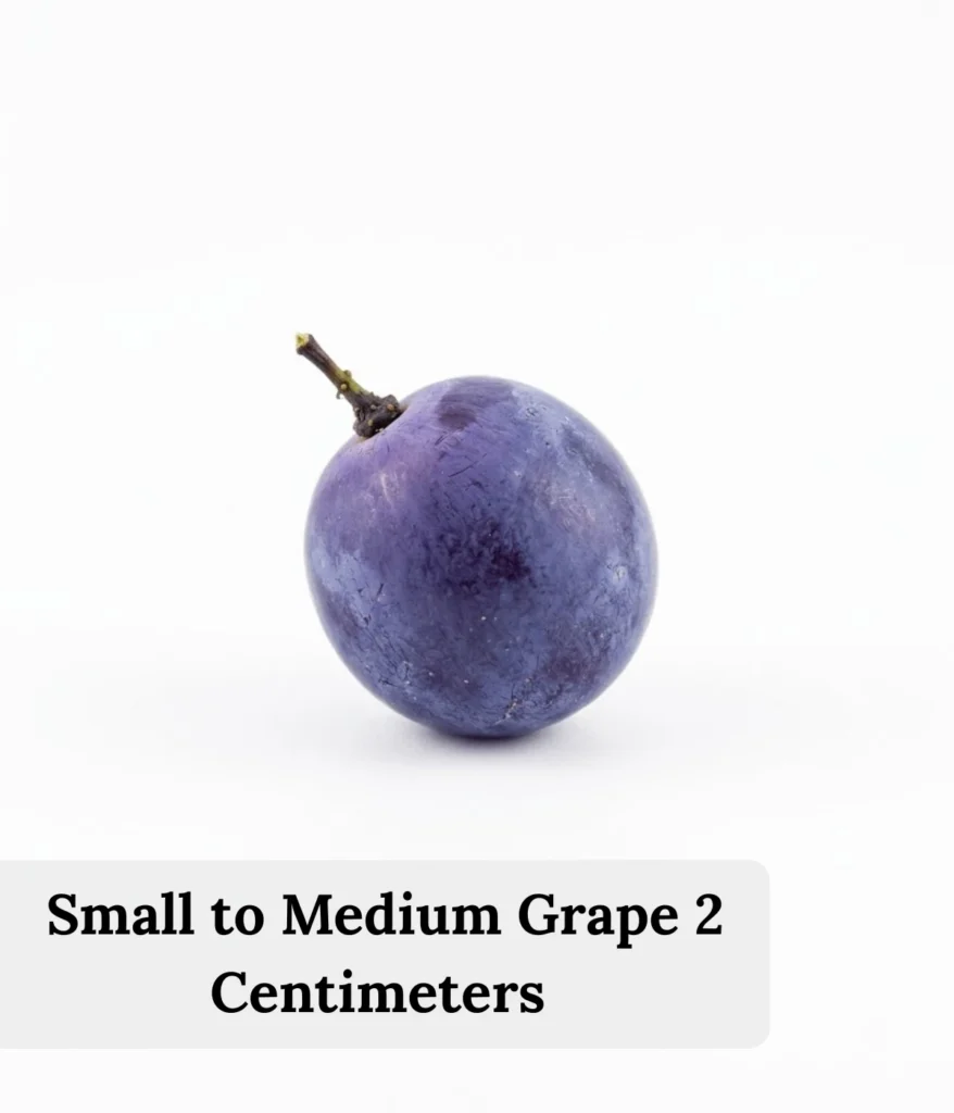 small-to-medium-grape-2-centimeters