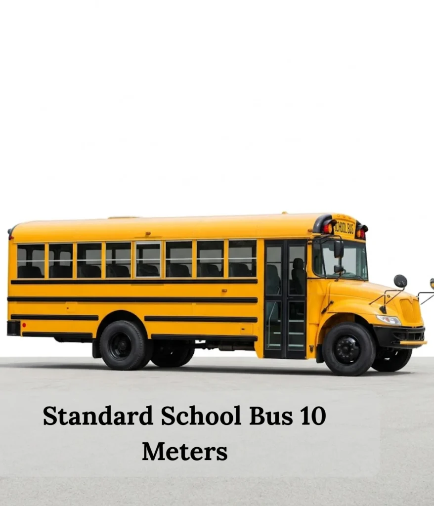 standard-school-bus-10-meters