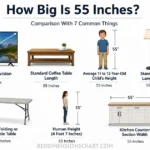 how-big-is-55-inches