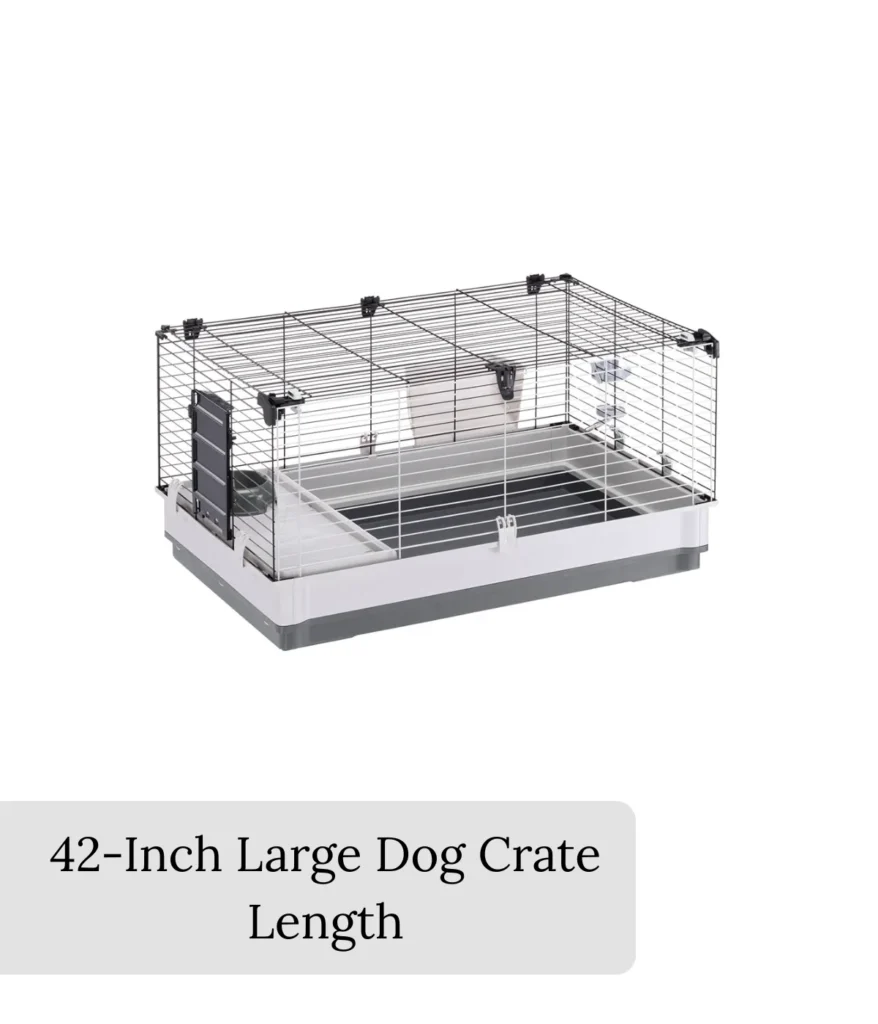 large-dog-crate-length-42-inches