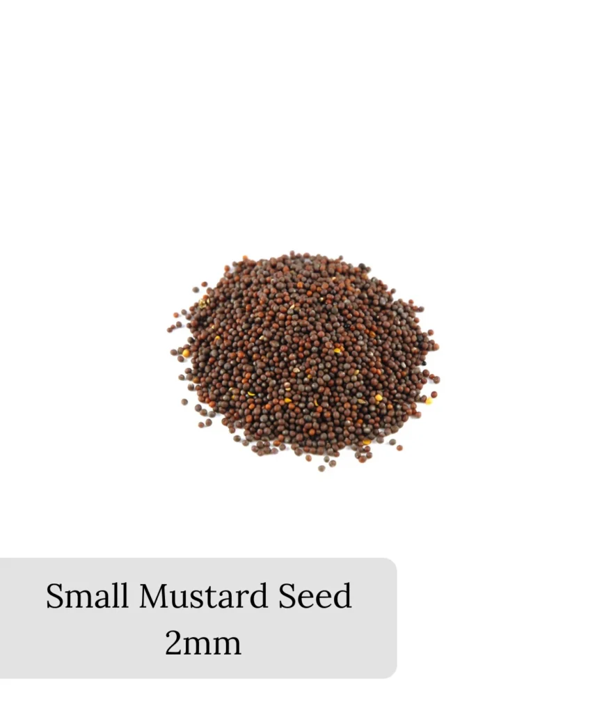 small-mustard-seed-2mm
