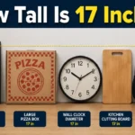 how-tall-is-17-inches-measuring