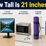 how-tall-is-21-inches