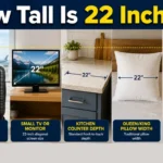 how-tall-is-22-inches