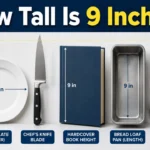 how-tall-is-9-inches