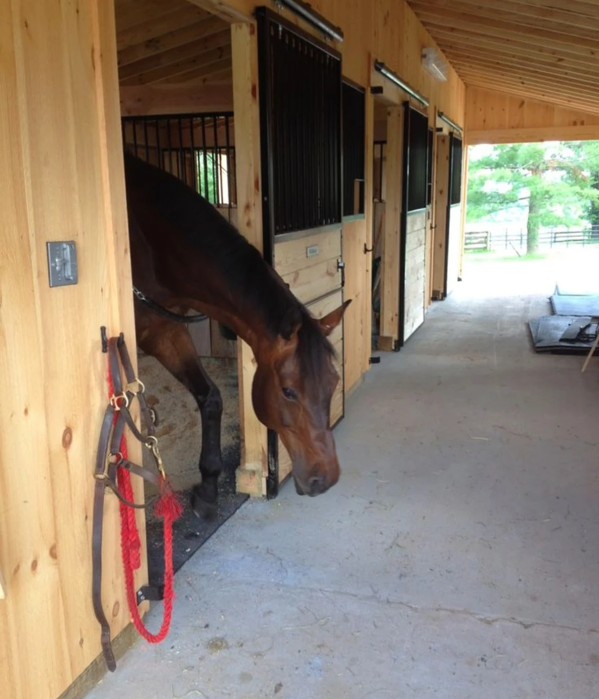 a-small-rural-horse-property-2-acres a-small-rural-horse-property-2-acres