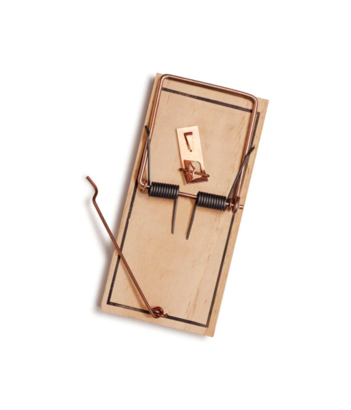 a-standard-mousetrap-50-grams a-standard-mousetrap-50-grams