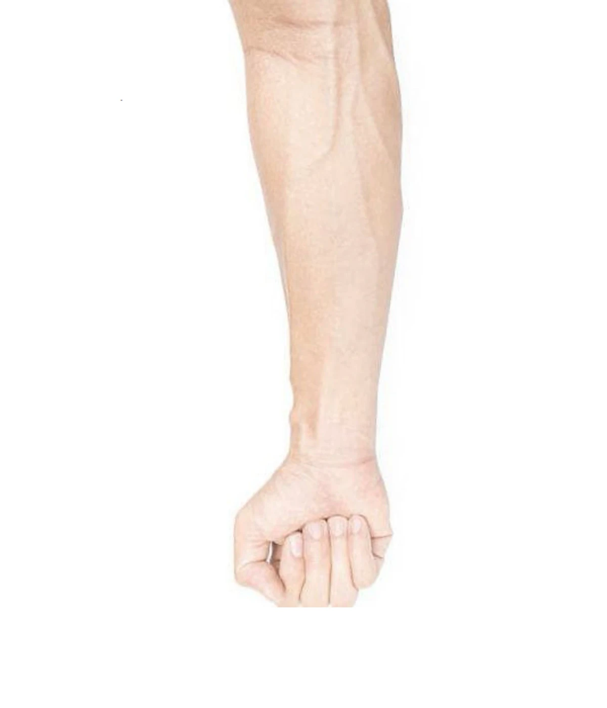 adult-forearm-1-foot-exactly