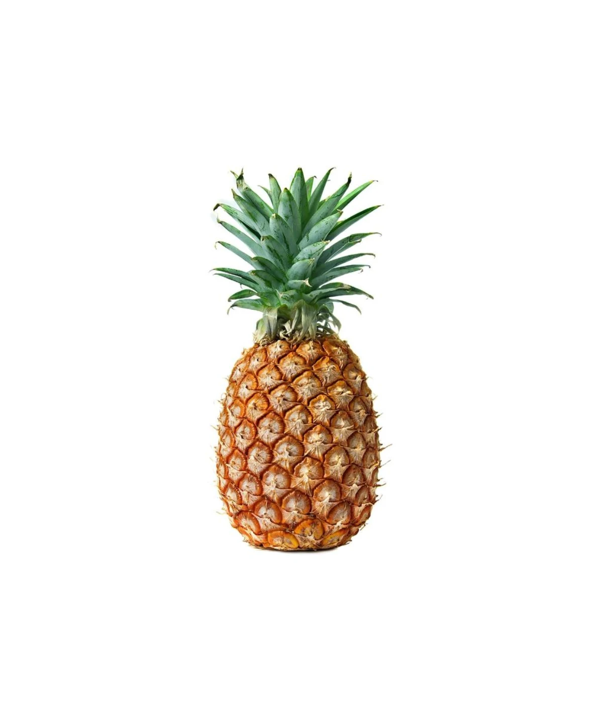 large-pineapple-weigh-4-pounds
