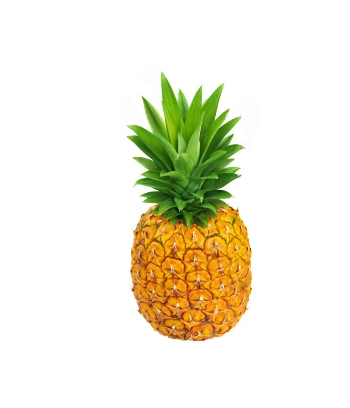 large-ripe-pineapple-2-pounds