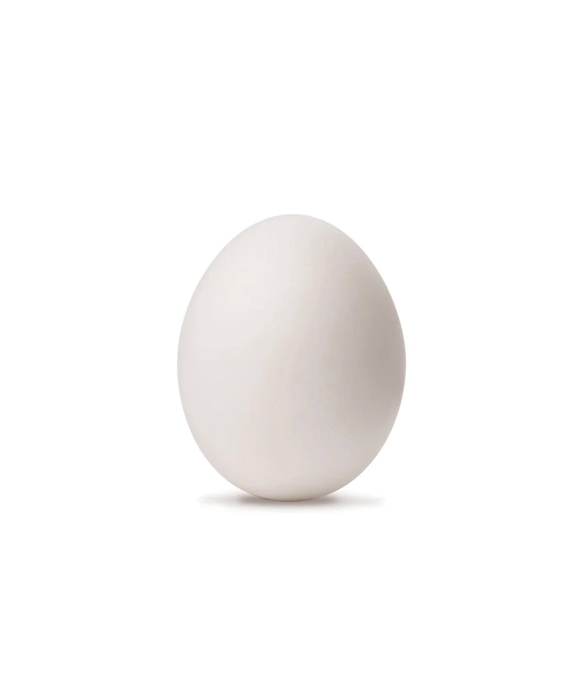 one-egg-white-weighs-1-ounce one-egg-white-weighs-1-ounce
