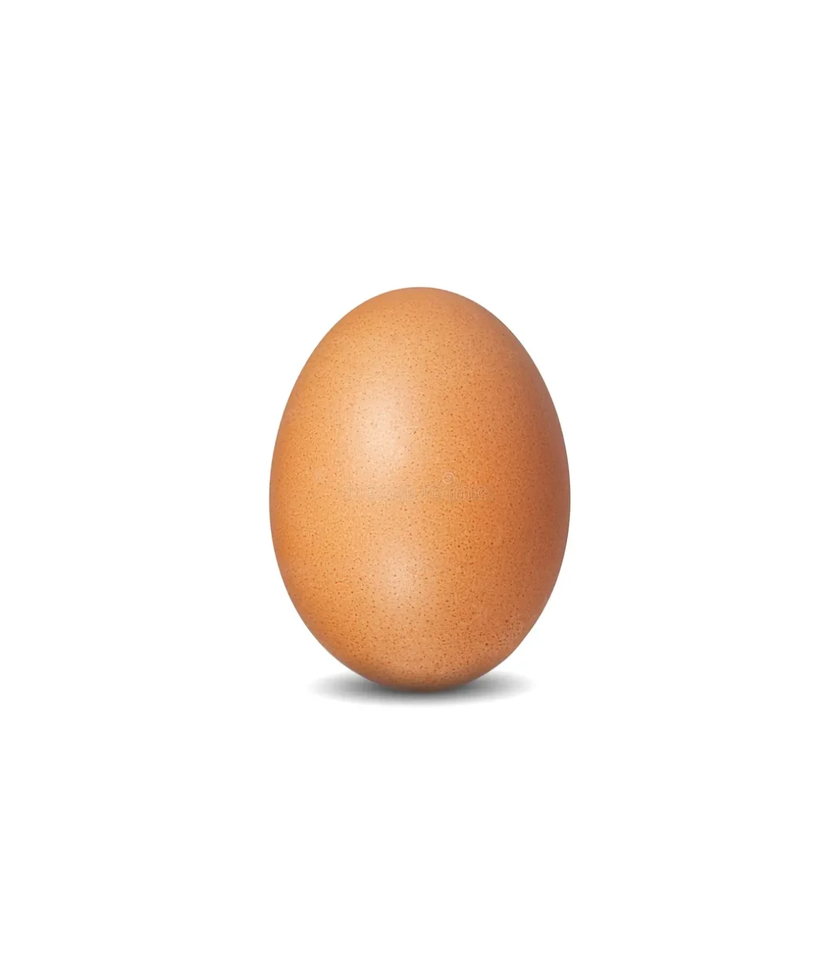 one-medium-chicken-egg-50-grams one-medium-chicken-egg-50-grams