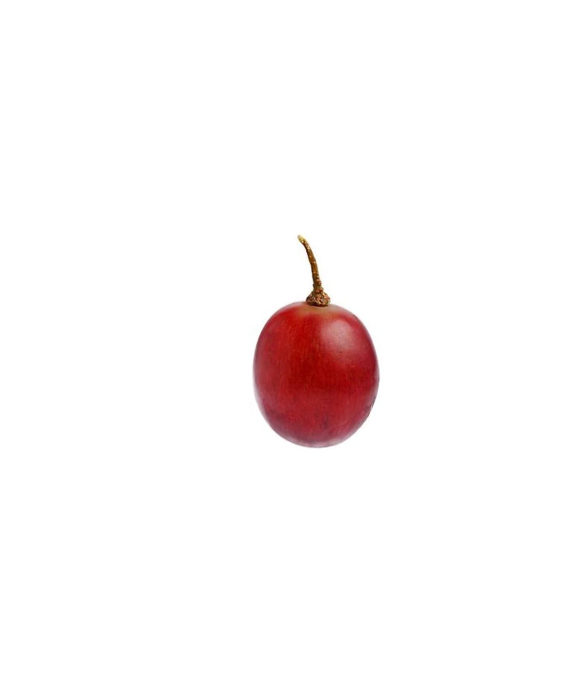 one-small-grape-2-grams-weighs