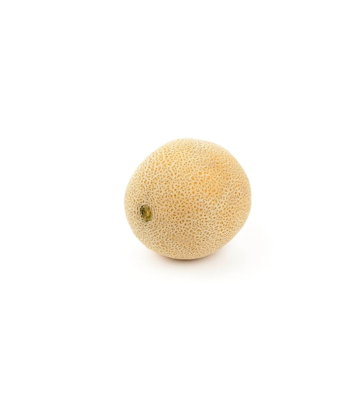 small-cantaloupe-is-1-kg-weight