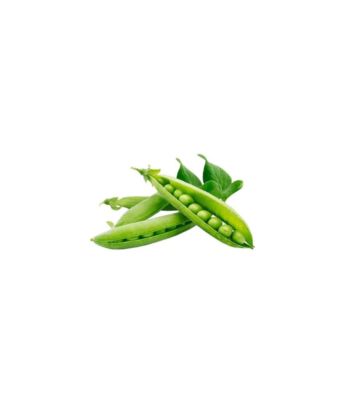 small-garden-pea-5mm small-garden-pea-5mm