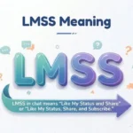 lmss-meaning-in-chat