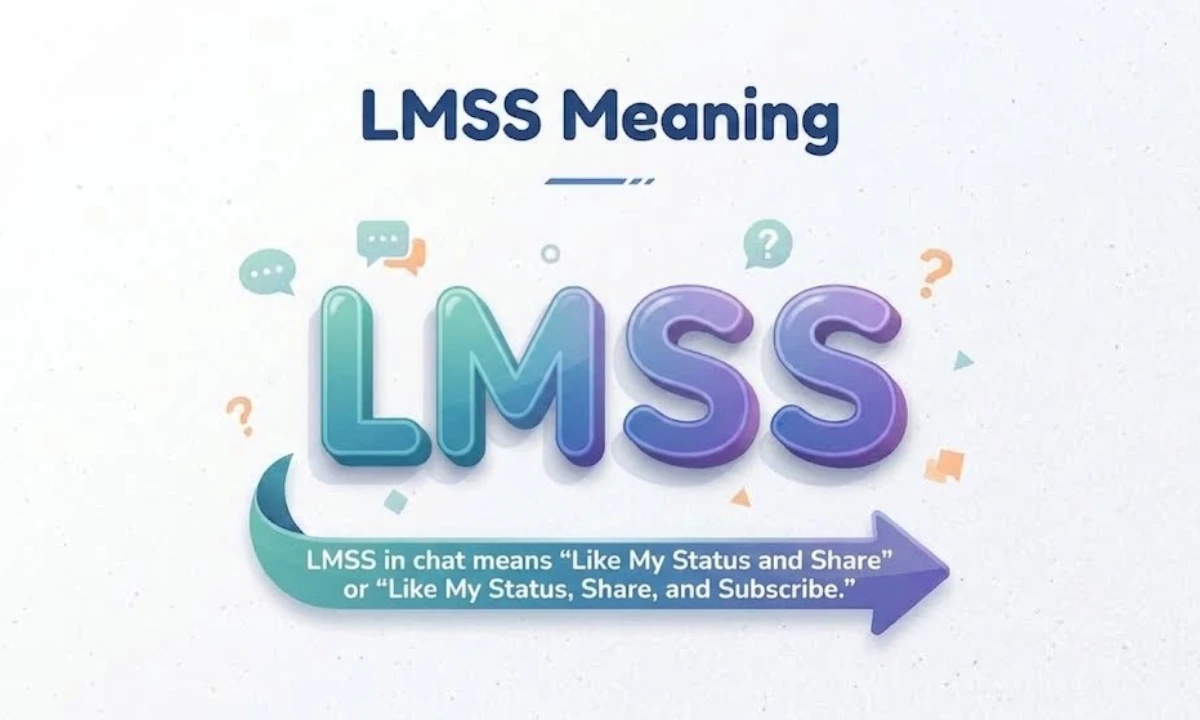 lmss-meaning-in-chat