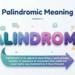 palindromic-meaning