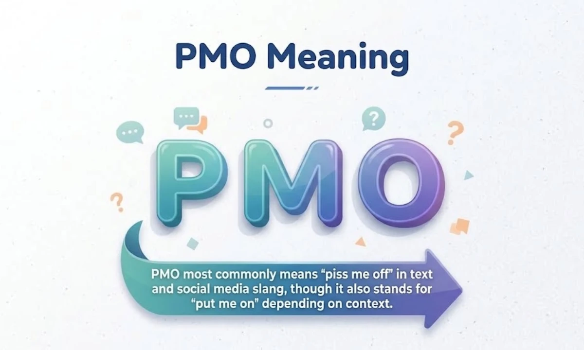 pmo-meaning-in-chat