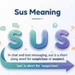 sus-meaning-in-chat