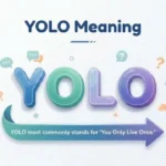 yolo-meaning